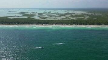 Angeln Tour Boot beim Meer nehmen Touristen aus zu Fang Fisch im Mexiko video