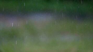 pluie pendant le journée video