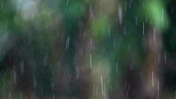 pioggia durante il giorno video
