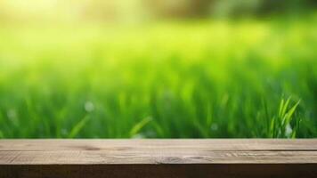 désorientant printemps commun établissement avec vert inutilisé délicieux excité herbe et purifier en bois table dans la nature Matin ouvert voir à. Créatif Ressource, vidéo animation video