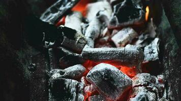 charbon brûlant sur Feu. en train de préparer pour repas. video