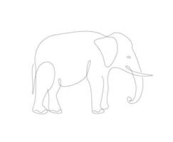 Elephant line art illustration. African animals single line. vector