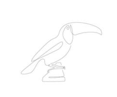 Pelican one line art. Unusual bird single linear art. Vector illustration. Birds outline.