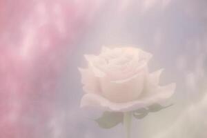 Sweet color roses in soft style for background. Neural network photo