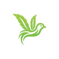 Flying bird cannabis leaf creative logo design vector