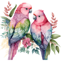 perroquet couple aquarelle clipart ai génératif png