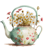 Daisy Teapot Watercolor png