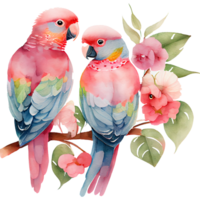 perroquet couple aquarelle clipart ai génératif png