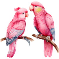 papagaio casal aguarela clipart ai generativo png