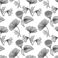 Seamless pattern, hand drawn outline poppies on a white background. Line art, background, textile, vector