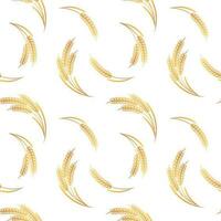 Seamless pattern, spikelets of wheat on a white background. Background, print, textile, vector