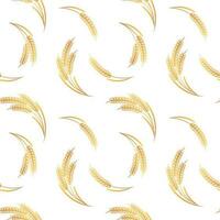 Seamless pattern, spikelets of wheat on a white background. Background, print, textile, vector