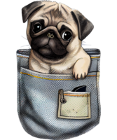 Cute Pug In Pocket Watercolor png