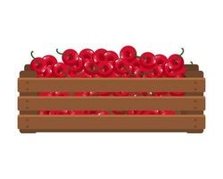 Wooden box with ripe cherries. Healthy food, fruits, agriculture illustration, vector