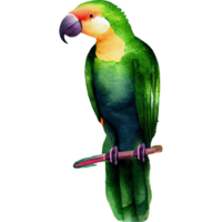 tropical verdor acuarela clipart ai generativo png