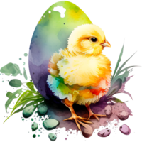 poulet Oeuf aquarelle clipart ai génératif png