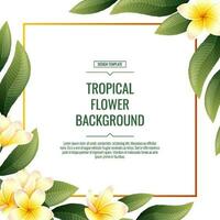 Square background with plumeria flowers. Tropical frangipani plant. Banner, poster, flyer, postcard. Summer illustration. vector