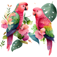 perroquet couple aquarelle clipart ai génératif png