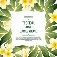 Square background with plumeria flowers. Tropical frangipani plant. Banner, poster, flyer, postcard. Summer illustration. vector