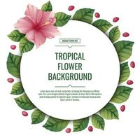 Square tropical background with pink hibiscus flowers. Poster, placard, banner, flyer with tropical plants. summer flower illustration vector