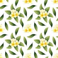 Seamless pattern with plumeria flowers on a light background. Floral tropical texture for clothes, fabric, wallpaper, paper, etc vector