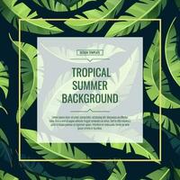 Tropical background, banner, flyer with green palm leaves. Square frame for decor, invitations, etc vector