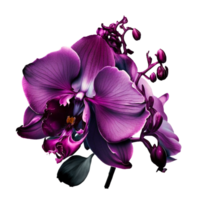 ai génératif orchidées fleur violet png transparent