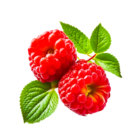 ai generativo frambuesa Fruta ilustración png