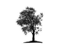 Black Branch Tree or Naked trees silhouettes. Hand drawn isolated illustrations. vector