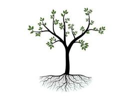 el grande árbol con verde hojas Mira hermosa y refrescante. árbol y raíces logo concepto. lata ser usado para tu trabajar. vector