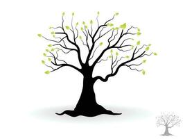 Trees with green leaves look beautiful and refreshing. Tree and roots LOGO style. vector