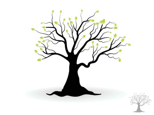 Trees with green leaves look beautiful and refreshing. Tree and roots LOGO style.