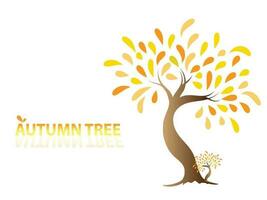 Trees with Yellow and orange leaves look beautiful and refreshing. for Autumn vector