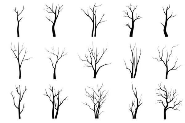 Black Branch Tree or Naked trees silhouettes set. Hand drawn isolated illustrations.