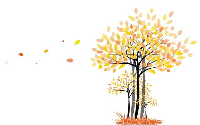 trees and grass that is dry With fallen leaves in the autumn season.