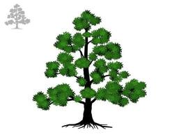 árbol y raíces con verde hojas Mira hermosa y refrescante. árbol y raíces logo estilo. vector