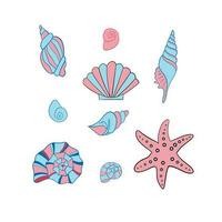 Vector illustration of a set of seashells for your design