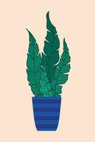 vector ilustración de un planta de casa en un maceta