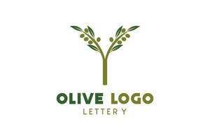 Olive logo design with letter y concept, natural green olive vector illustration