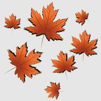 vector of fallen leaves in autumn with color