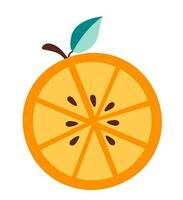 Simple doodle orange fruit. Vector Illustration