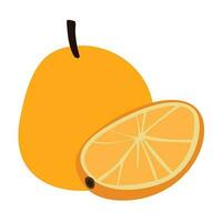 Simple doodle orange. Vector Illustration