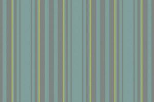 Background lines vertical. Seamless pattern stripe. Texture textile vector fabric.