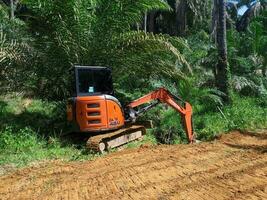 kuaro Kalimantan timur, Indonesia 28 abril 2023. pesado excavador excavación suelo en petróleo palma plantación foto