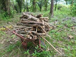 a pile of firewood on a cart that will be used for cooking photo