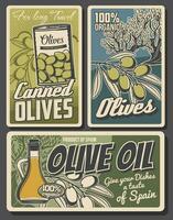 Olive oil, tree and green fruits, jug and can vector