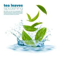 Green tea leaves with blue water corona splash vector