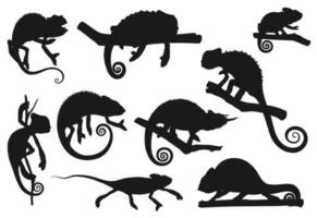 Chameleon lizard, animal reptile silhouettes icons vector