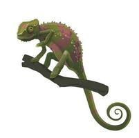 Chameleon lizard climbing, siting on tree branch vector