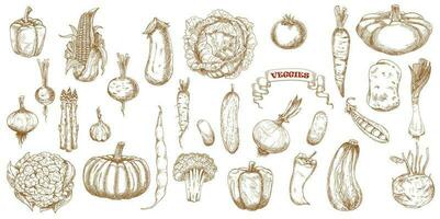 Vegetables sketch food farm doodle icons vector